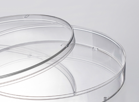 一次性细胞培养皿10cm，表面处理，灭菌